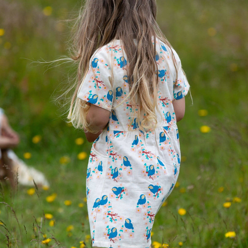 Little Green Radicals - Bluebirds Button Through Short Sleeve Dress