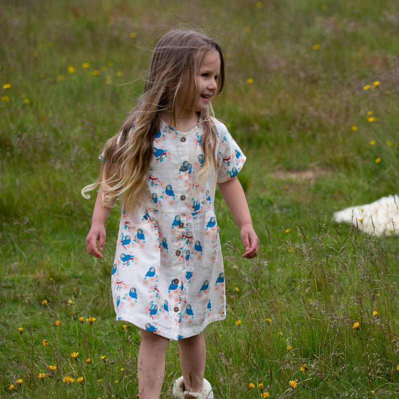 Little Green Radicals - Bluebirds Button Through Short Sleeve Dress