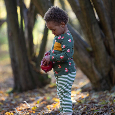 Little Green Radicals - Little Fox Organic T-Shirt & Jogger Playset