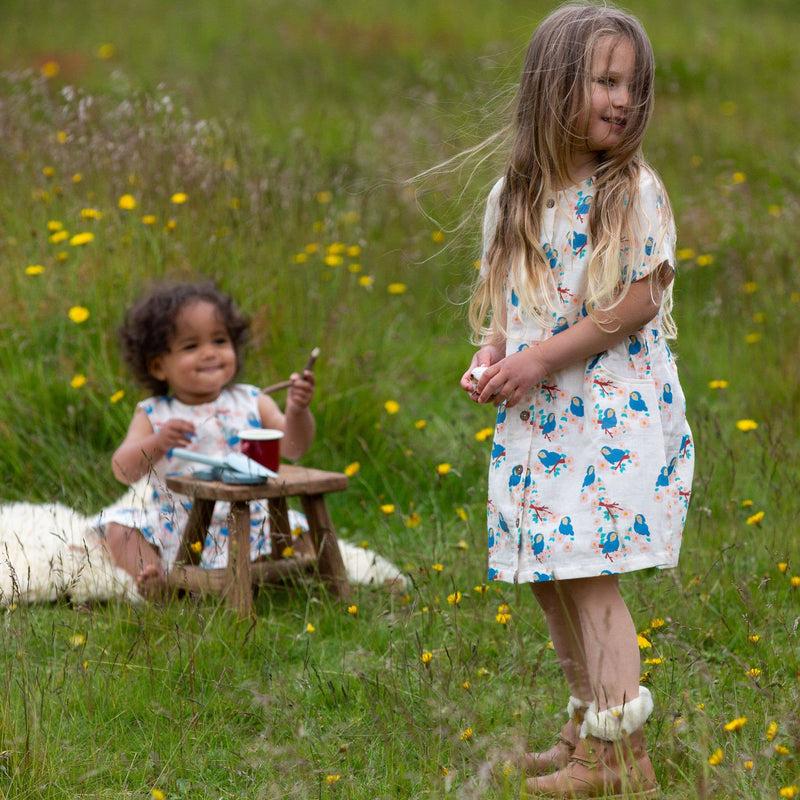 Little Green Radicals - Bluebirds Button Through Short Sleeve Dress