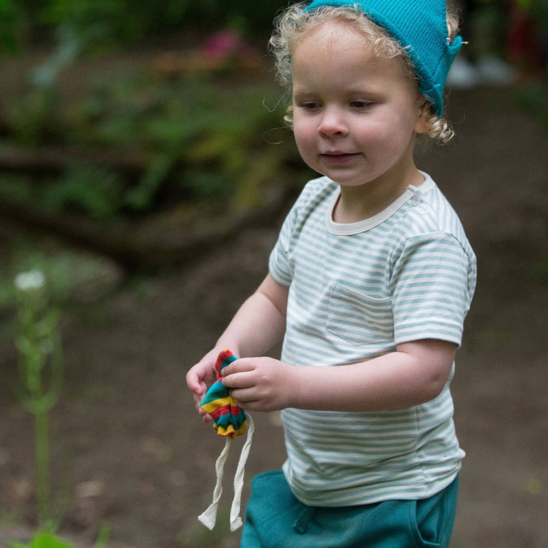 Little Green Radicals - Blue Striped Organic Short Sleeve T-Shirt