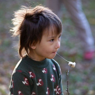 Little Green Radicals - From One To Another Fox Knitted Jumper