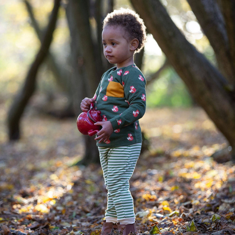 Little Green Radicals - Little Fox Organic T-Shirt & Jogger Playset