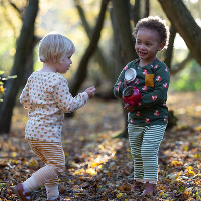 Little Green Radicals - Little Fox Organic T-Shirt & Jogger Playset