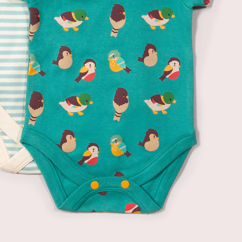 Little Green Radicals - Garden Birds Organic Baby Bodysuit Set - 2 Pack