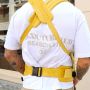 Bizzi Growin Nomad Baby Carrier - Gold